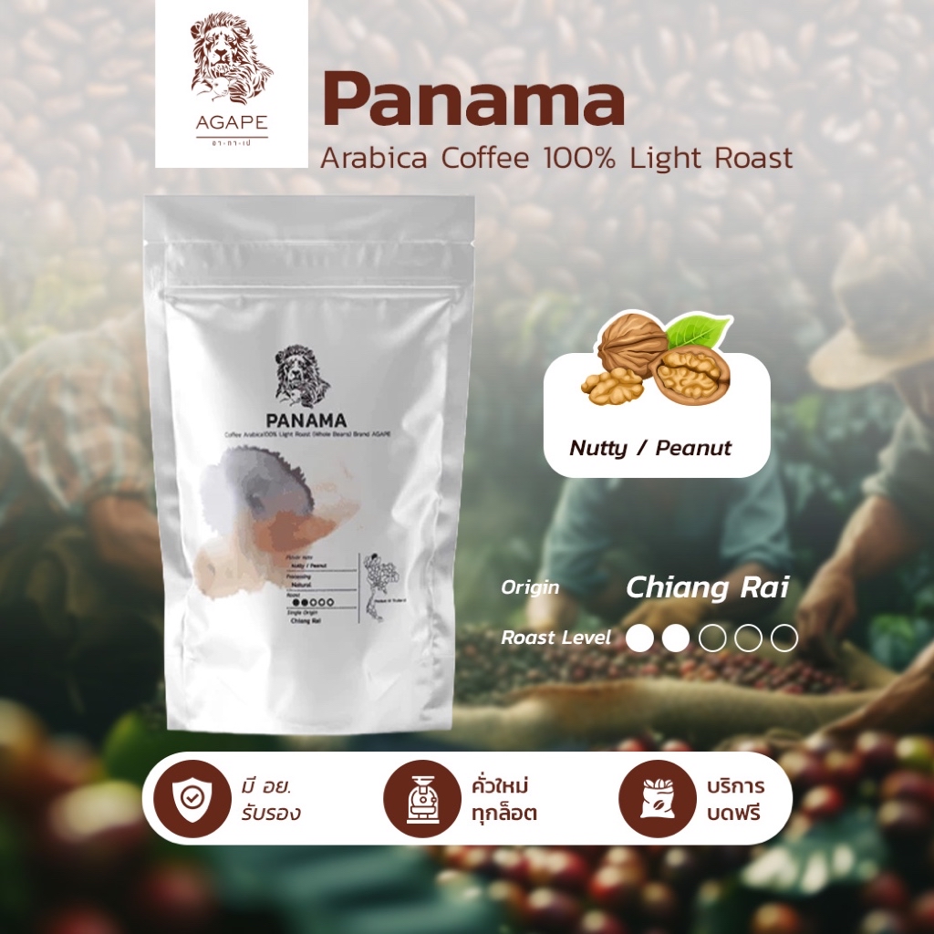 AGAPE Panama Light Roast 250g